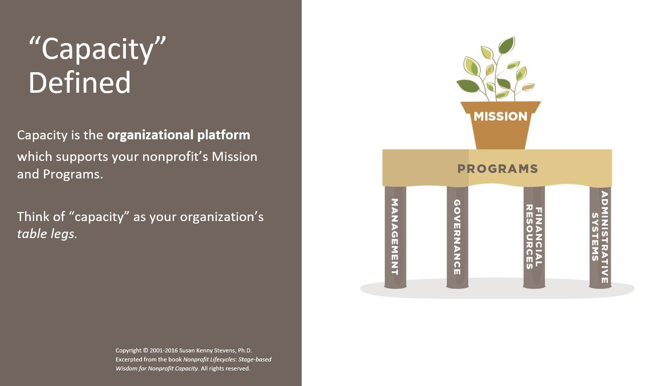 An image of a table with a plant on it: the plant represents an organization's mission, the top represents its programs; its legs represent management, governance, financial resources and administrative systems