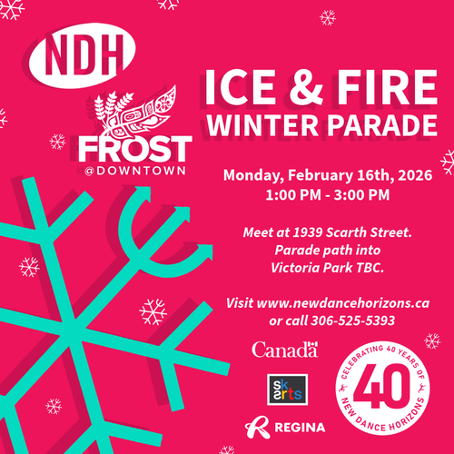 Poster for the event with an image of a snowflake