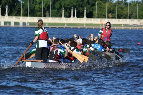 A dragon boat from behind, paddlers can be seen paddling furiously towards the finish line