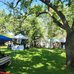 People browsing booths outdoors in a park