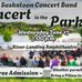 Poster for Concert In The Park with a photo of a group of people watching a band perform.