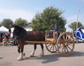 Centennial celebration brings communities together