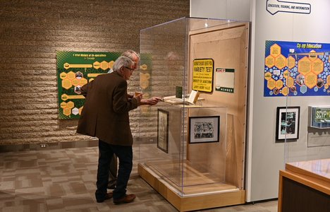 Visitor viewing display in Community Powered Exhibition