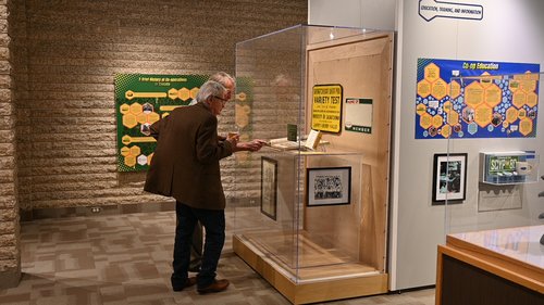 Visitor viewing display in Community Powered Exhibition