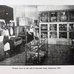 An old black and white image of a Display case at the Museum