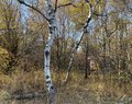 IMG_9638