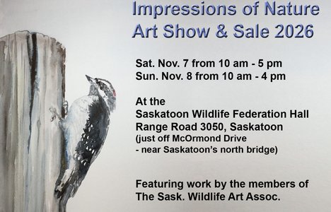 Impressions of nature event times and location