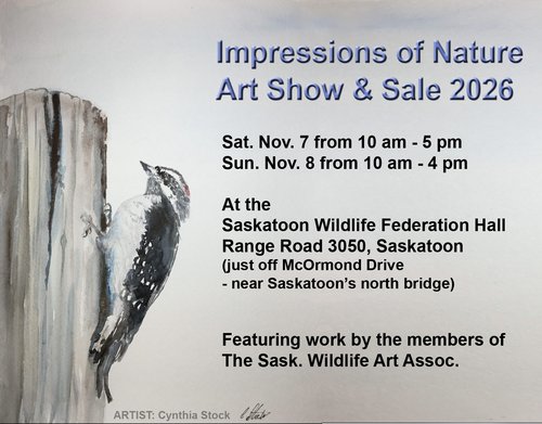 Impressions of nature event times and location