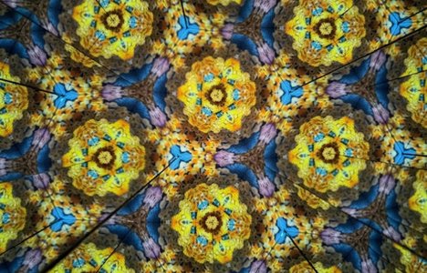 Joanne Lyons, Untitled, 2026, video, colour, silent, looped. Courtesy of the artist.