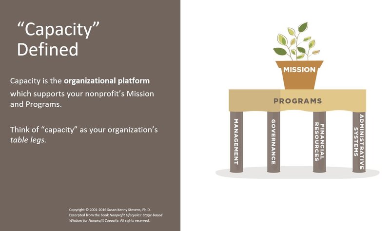 An image of a table with a plant on it: the plant represents an organization&#x27;s mission, the top represents its programs; its legs represent management, governance, financial resources and administrative systems