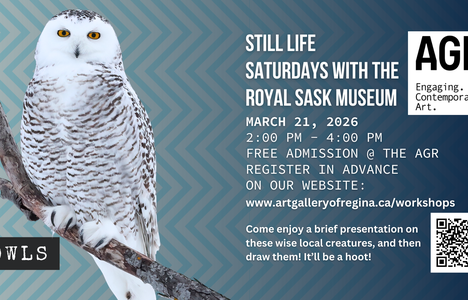 a snowy owl sits on a branch
