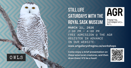 a snowy owl sits on a branch