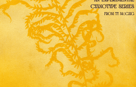 The photo features the details for the event that are found in the event description overtop of a bright yellow turmeric anthotype print of a fern