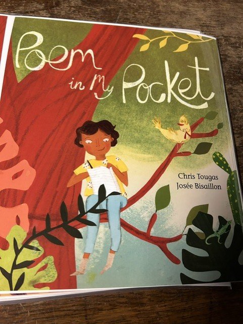 Photo of the book cover Poem in my Pocket.