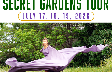 Poster for the event with a photo of someone dancing with a large flowing skirt swirling around them.