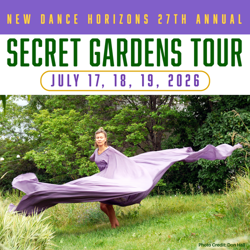 Poster for the event with a photo of someone dancing with a large flowing skirt swirling around them.