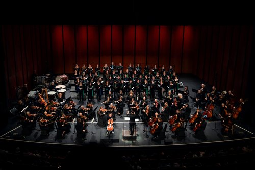 Photo of a orchestra preforming.