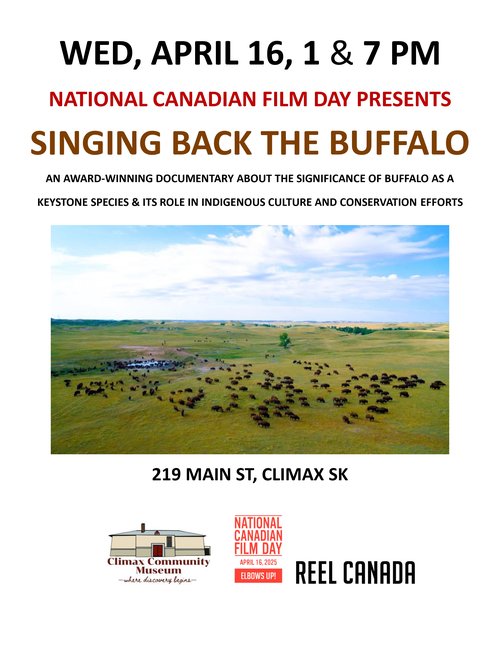 A poster for the Singing Back The Buffalo with a aerial photo of Buffalo grazing in a field on a sunny day..