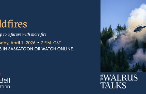 Picture of a wildfire with a blue background