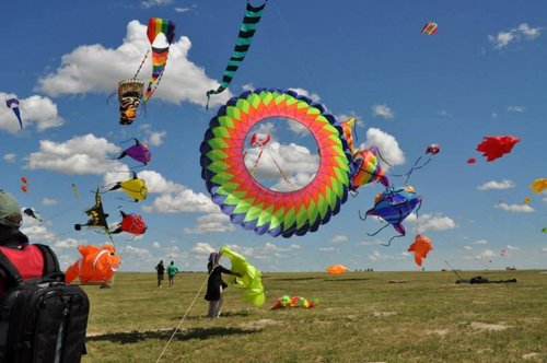 Image of many people flying multiple kites